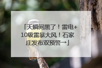 天瞬间黑了！雷电+10级雷暴大风！石家庄发布双预警→